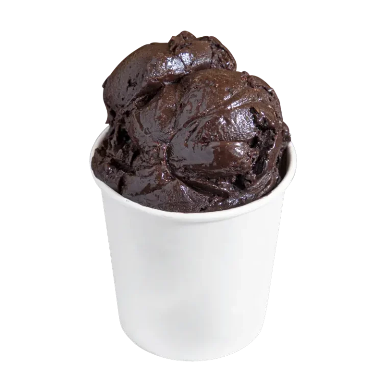 Vegan dark chocolate ice cream with chocolate trufflea and a swirla of chocolate ganache